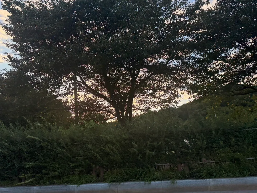 토담옥으로 이동하며 담은 풍경