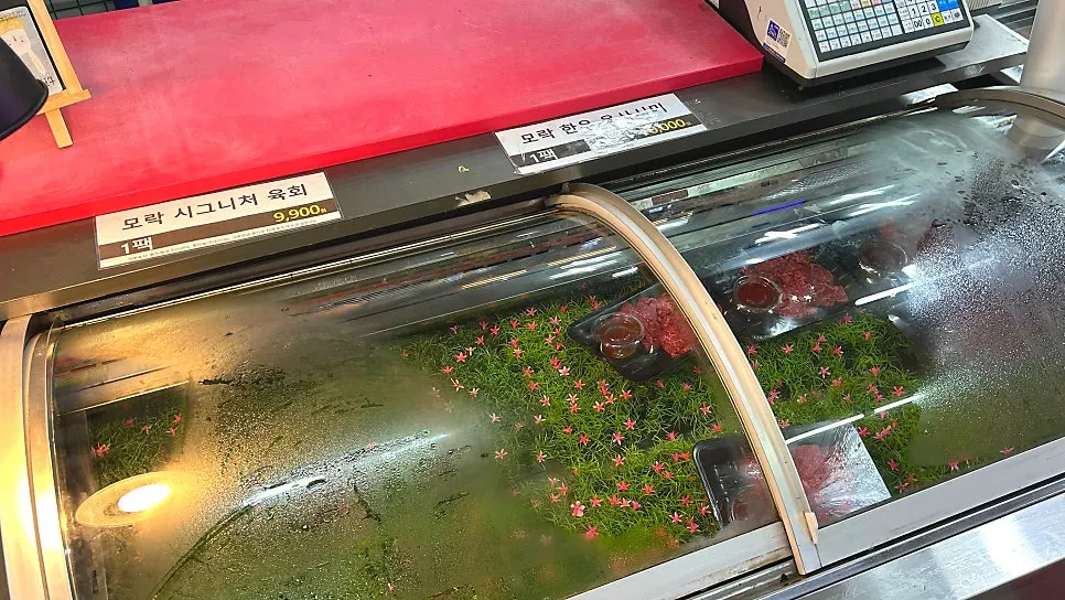정육 코너에 진열된 다양한 고기