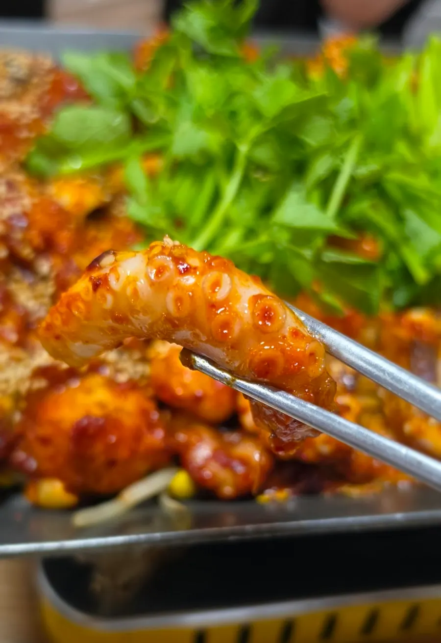 Bouncy octopus and monkfish griddle dish