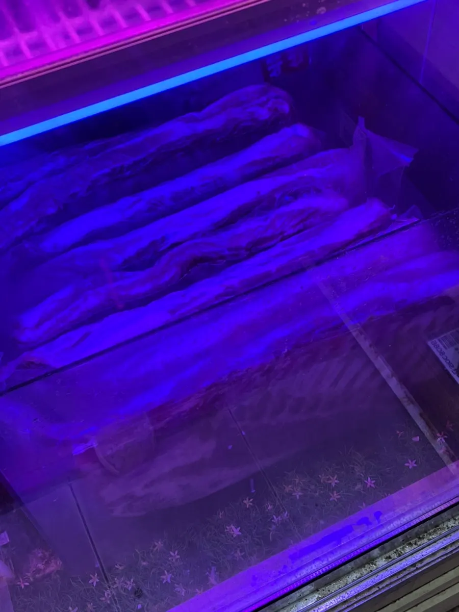 Full view of the meat display cases at Morakmorak Home & Cook