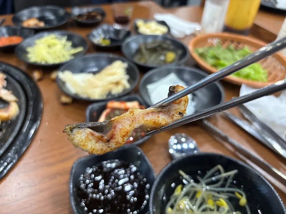 Golden-brown grilled freshwater eel
