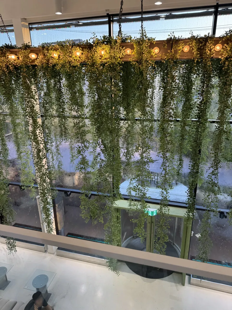 緑の植物とウォーターカーテンのある室内