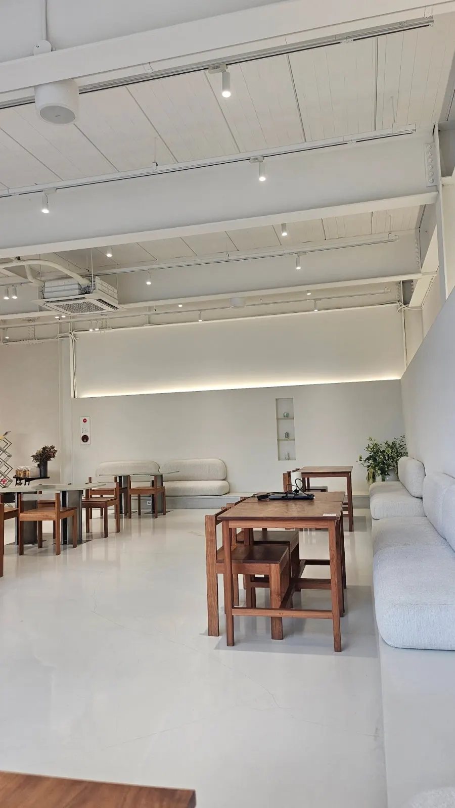 Plant-decorated interior of the large Chat Baker café