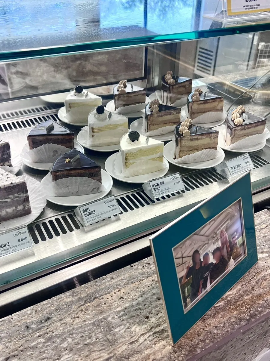 Cake and dessert display case