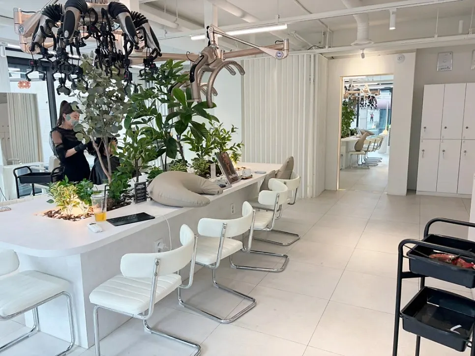 Interior atmosphere of Anew Hair Cheongdam Main Branch