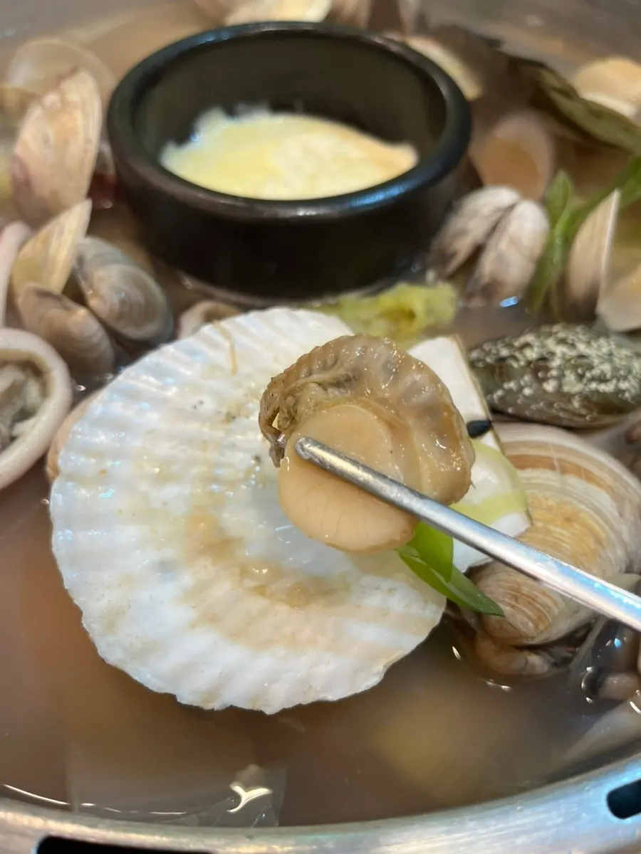Cooked scallop meat