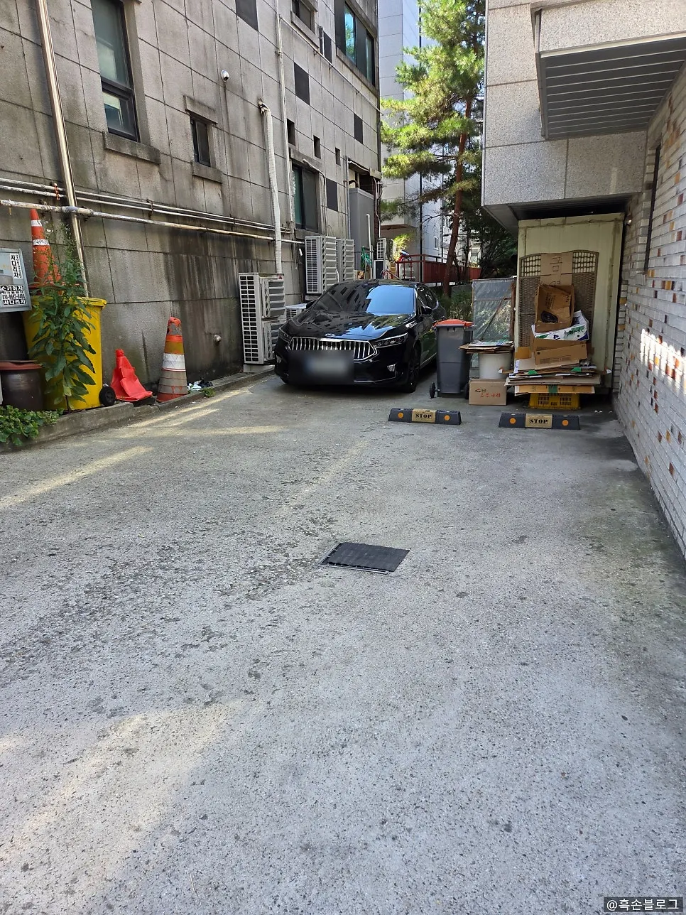 뽕잎사랑 안양예술공원점 간판이 보이는 매장 입구