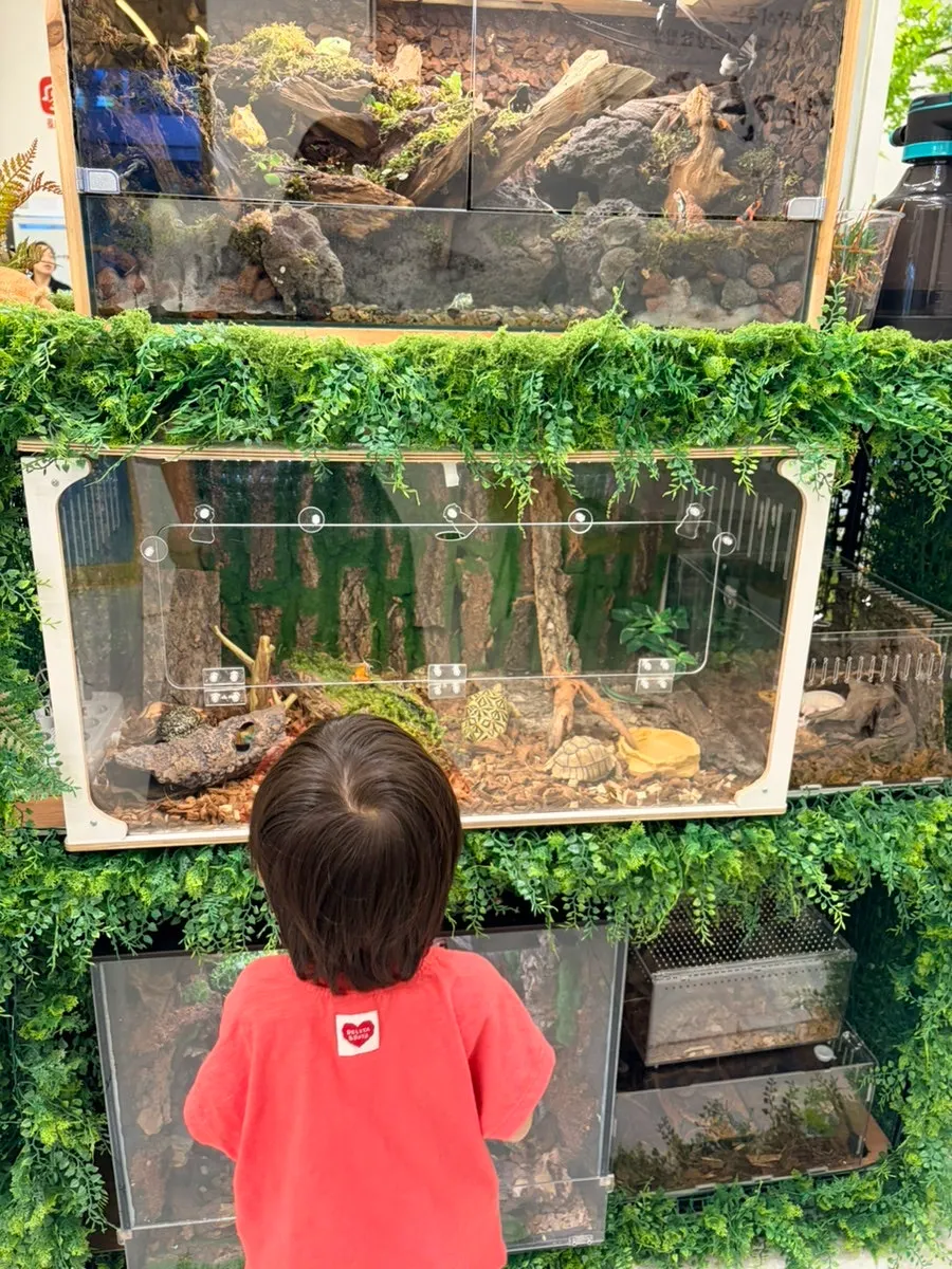 Entrance of the grilled fish restaurant on the 1st floor of the kids center