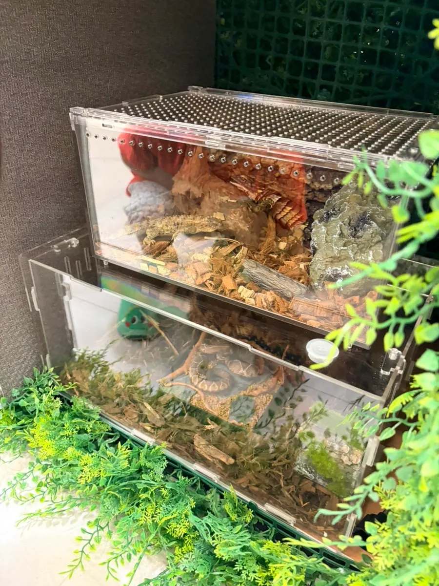 A corner of the restaurant with animal-shaped props