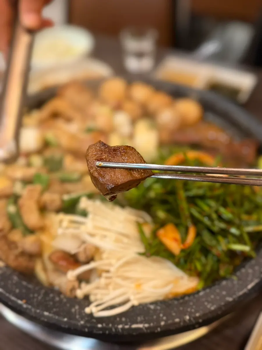 Cross-section of beef intestine packed with fat