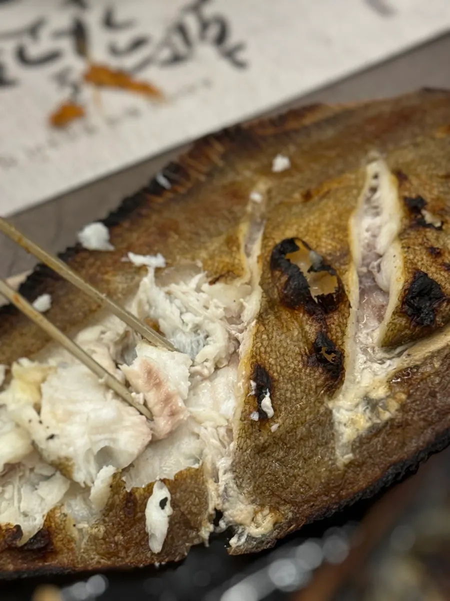 Grilled domestic sea eel