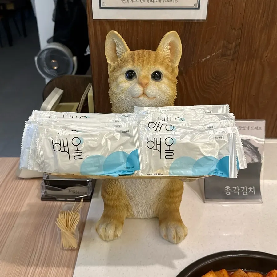 고양이 그림이 그려진 물티슈