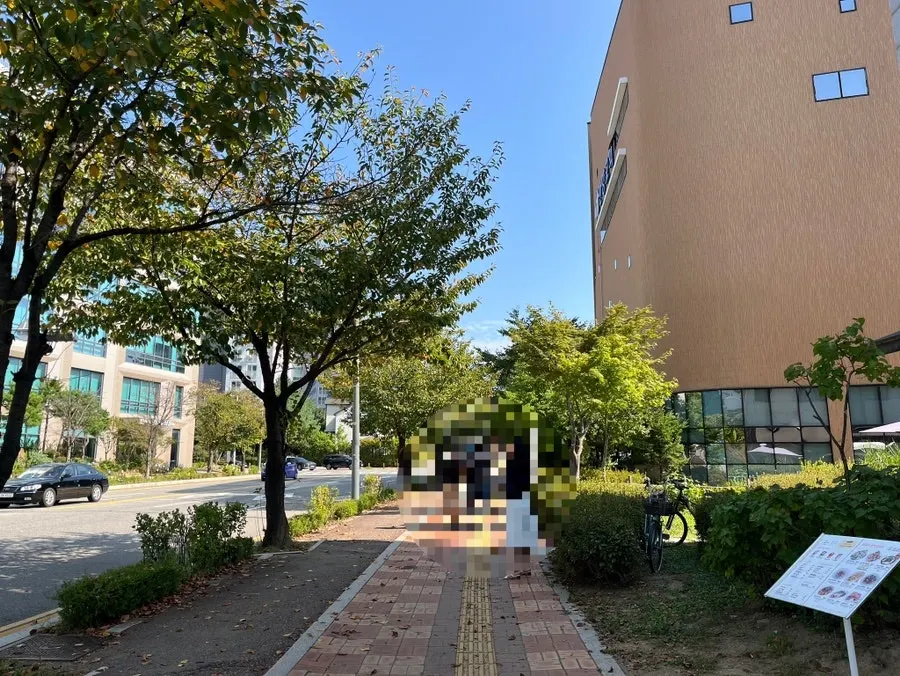 東片村の東片路沿い、エッグルーム周辺の風景