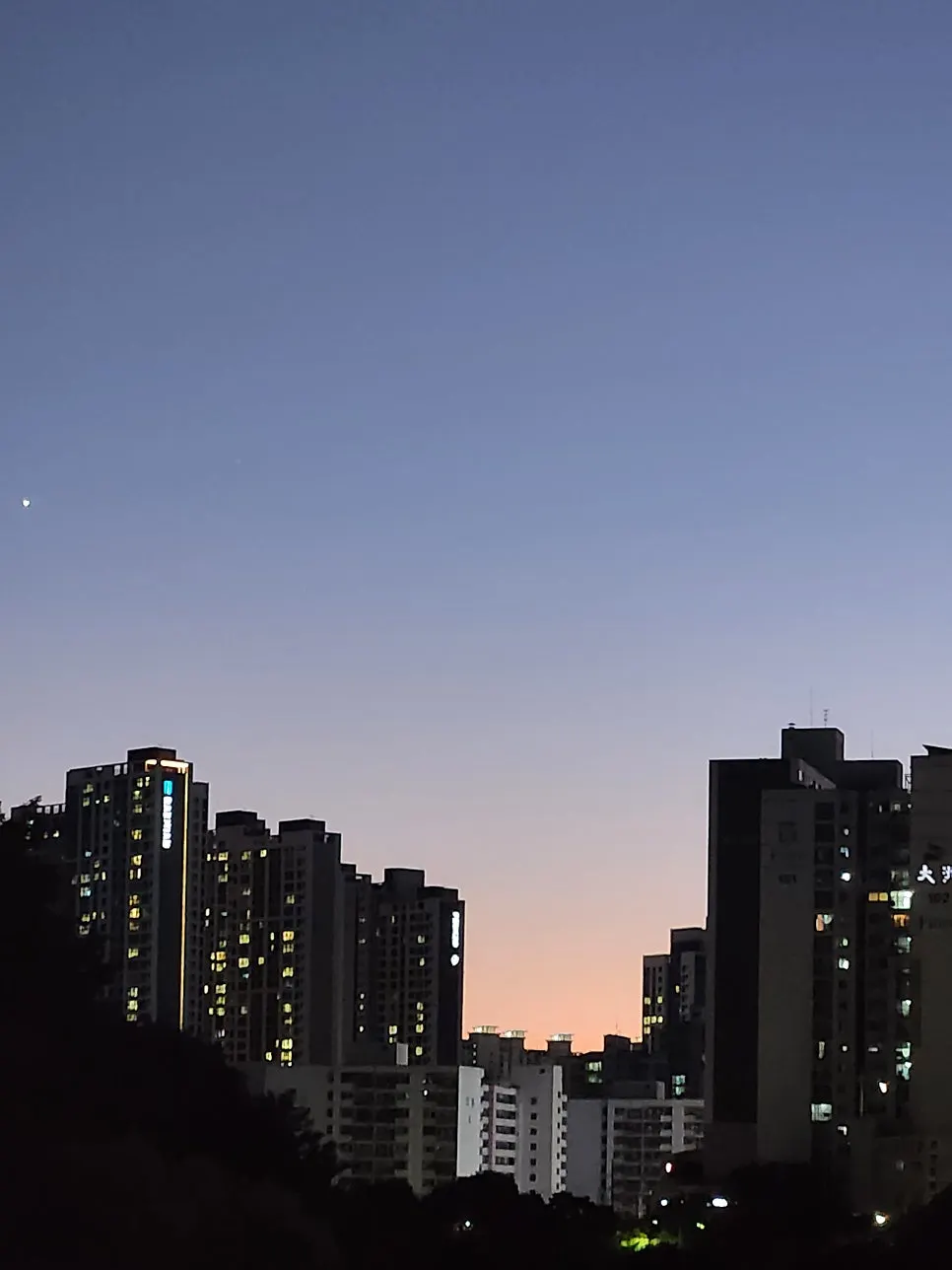 안양 비산동 화덕으로간고등어