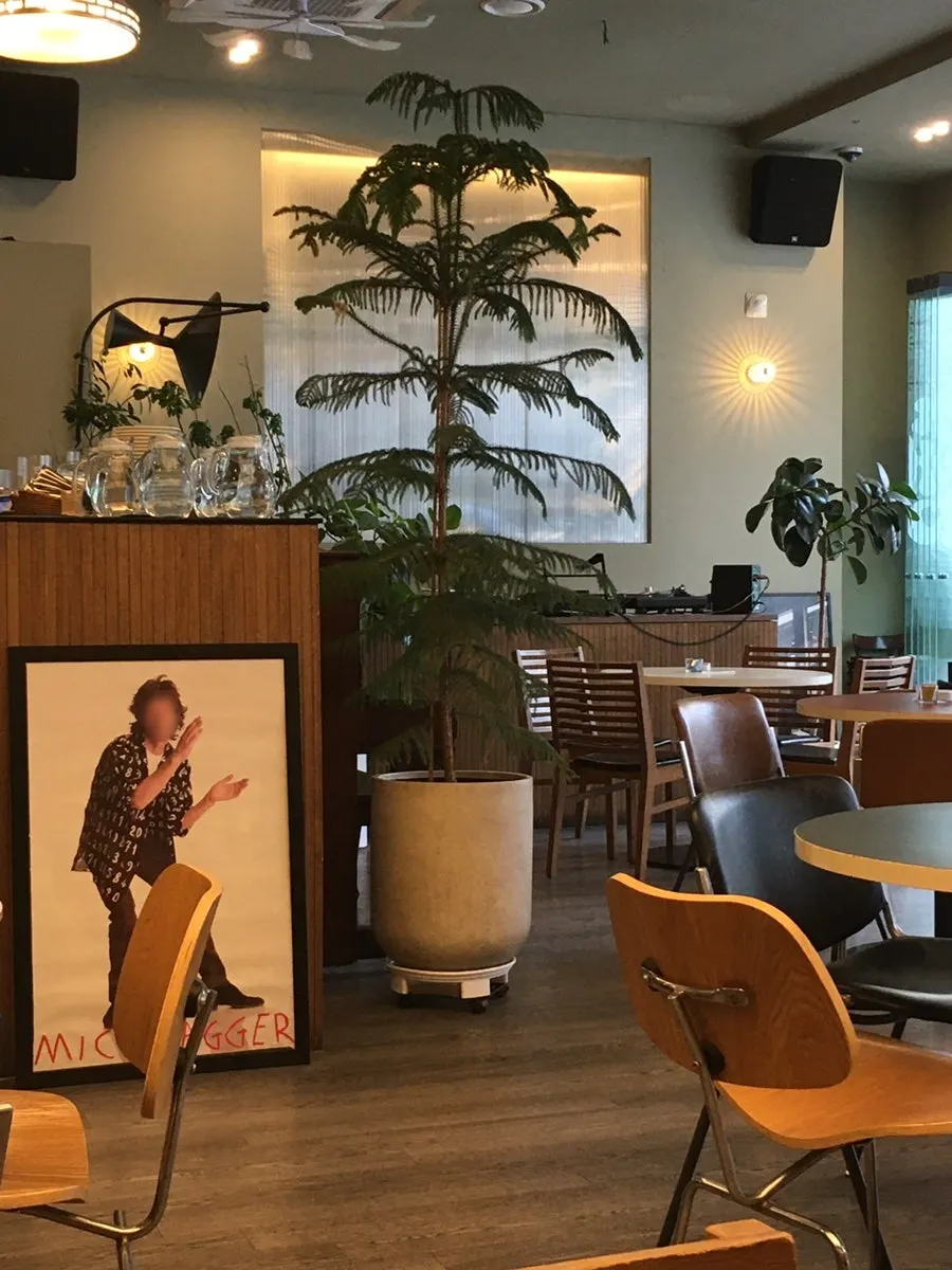 Seating by the large window at Mild High Club