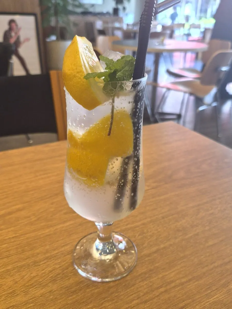 Lemonade topped with lemon slices