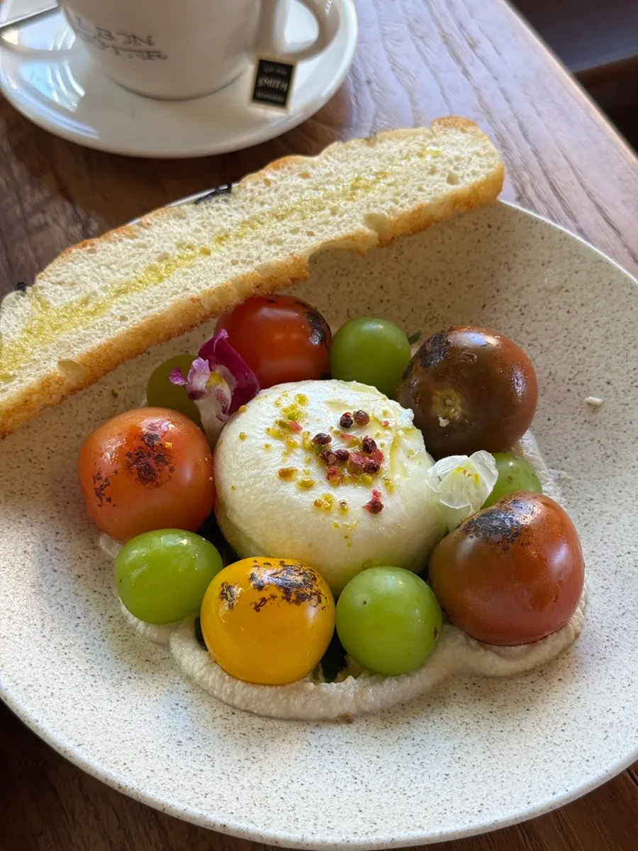 Plated burrata cheese dish