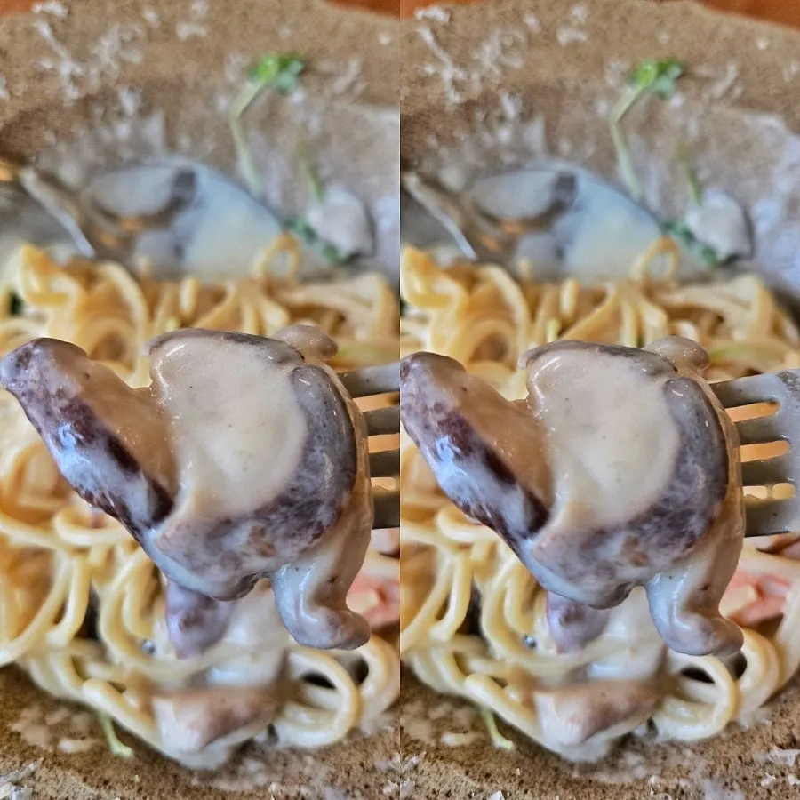 Shrimp mushroom pasta with cream sauce