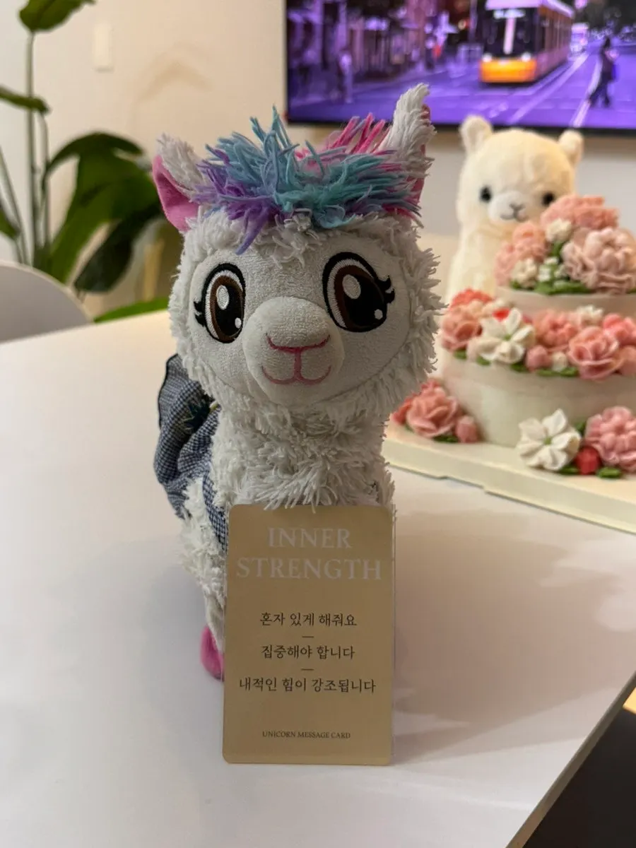 테이블 위에서 한 운세 게임