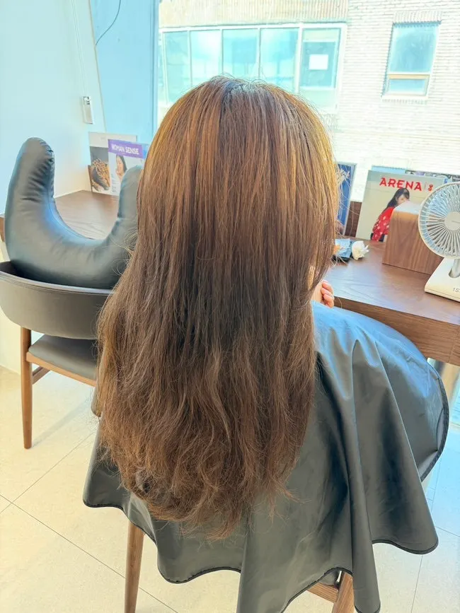 Before shot of hair with faded lightened color