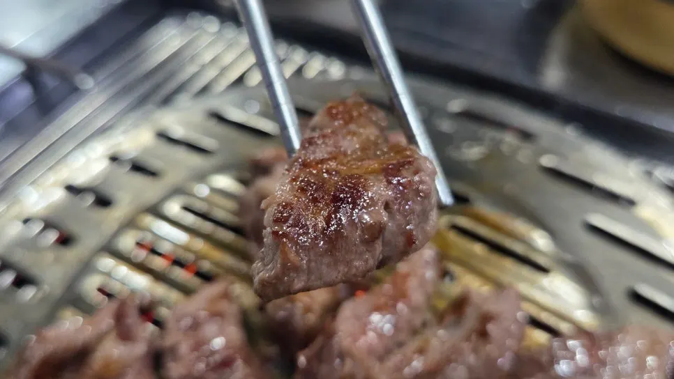 A mildly grilled piece of beef short rib