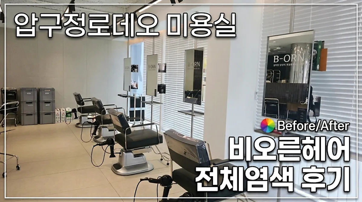 Main image of full-head dye at Biorn Hair Apgujeong Rodeo