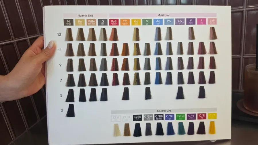 Starting the full-head dye after a color consultation with designer Jisu