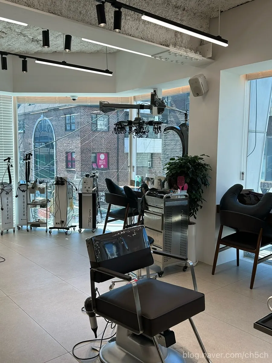 Interior space of Biorn Hair