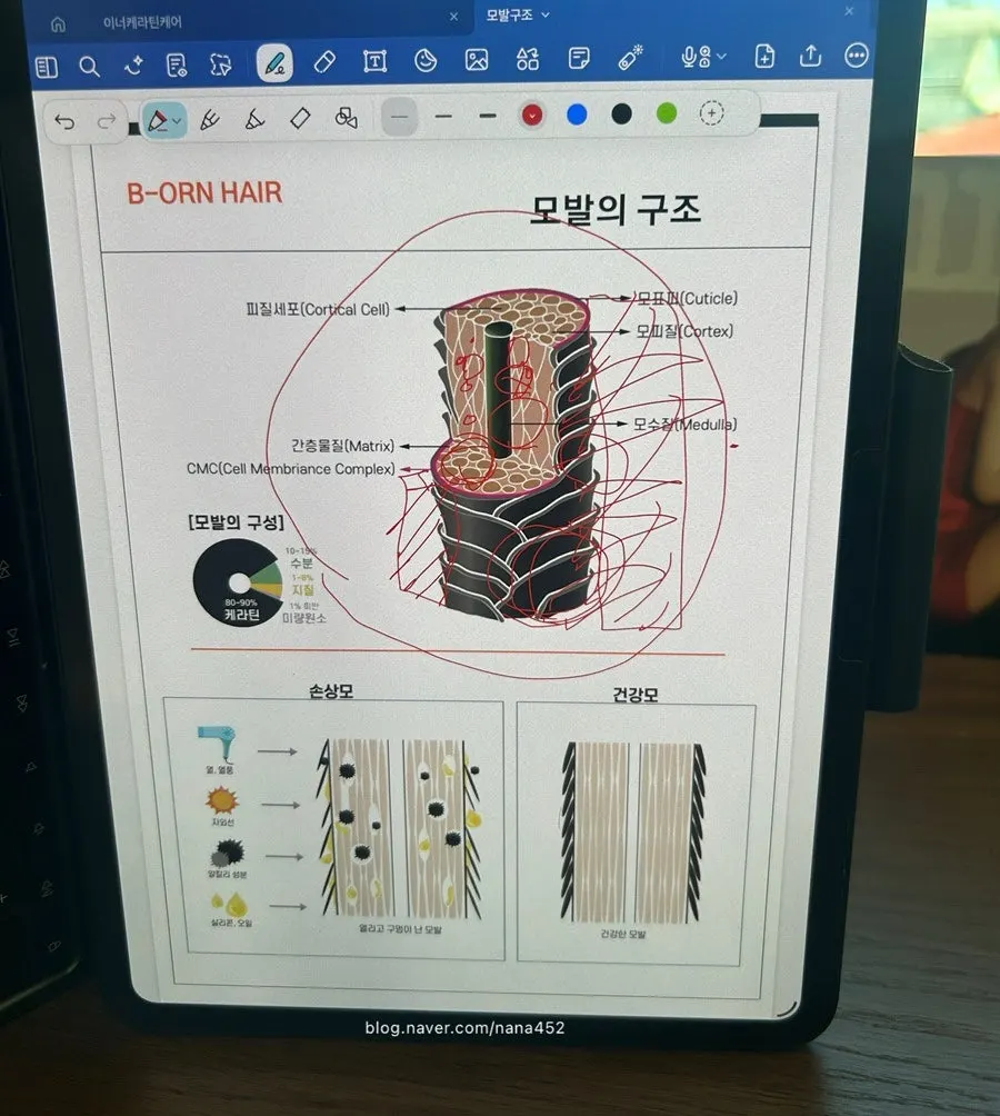 압구정로데오역 근처 비오른헤어 가는 길