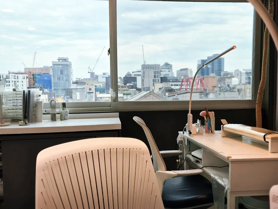 View of Apgujeong Rodeo from Naeil Didi's 6th-floor window