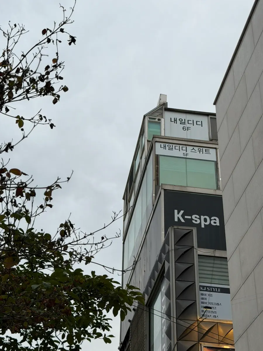 Naeil Didi building seen from the Apgujeong Rodeo street