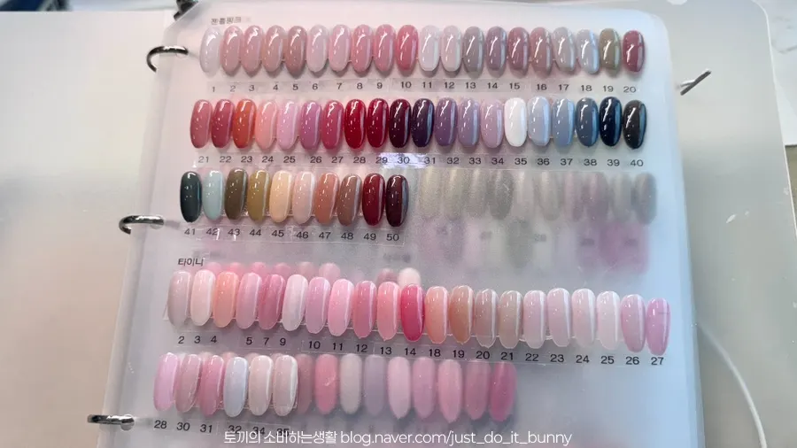 Naeil Didi's color book filled with natural tones
