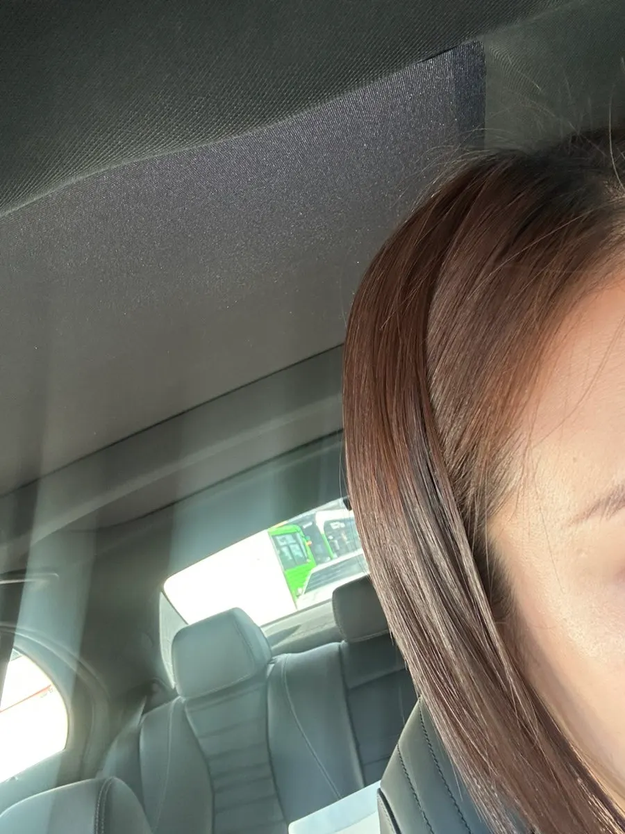 Hair condition before the dye, showing grown-out roots