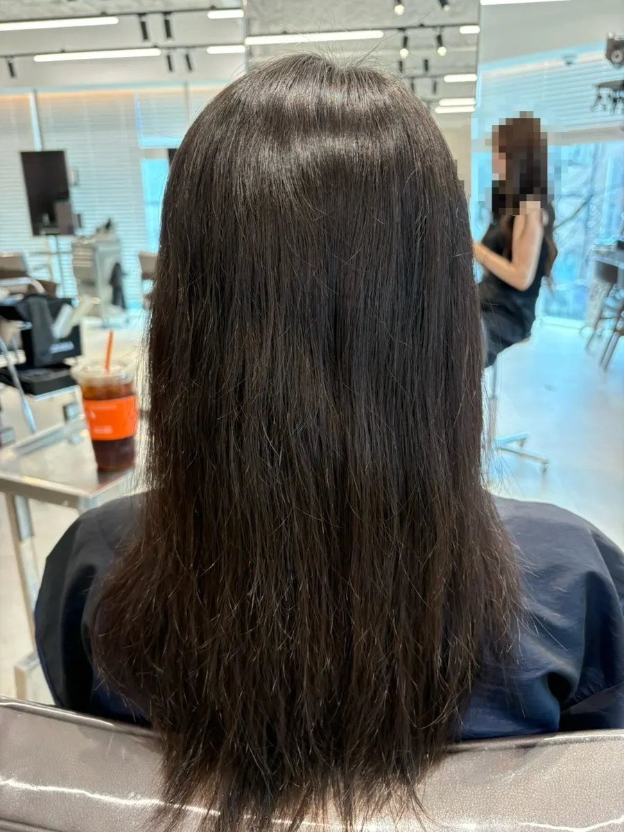 Hair in dry condition before the treatment