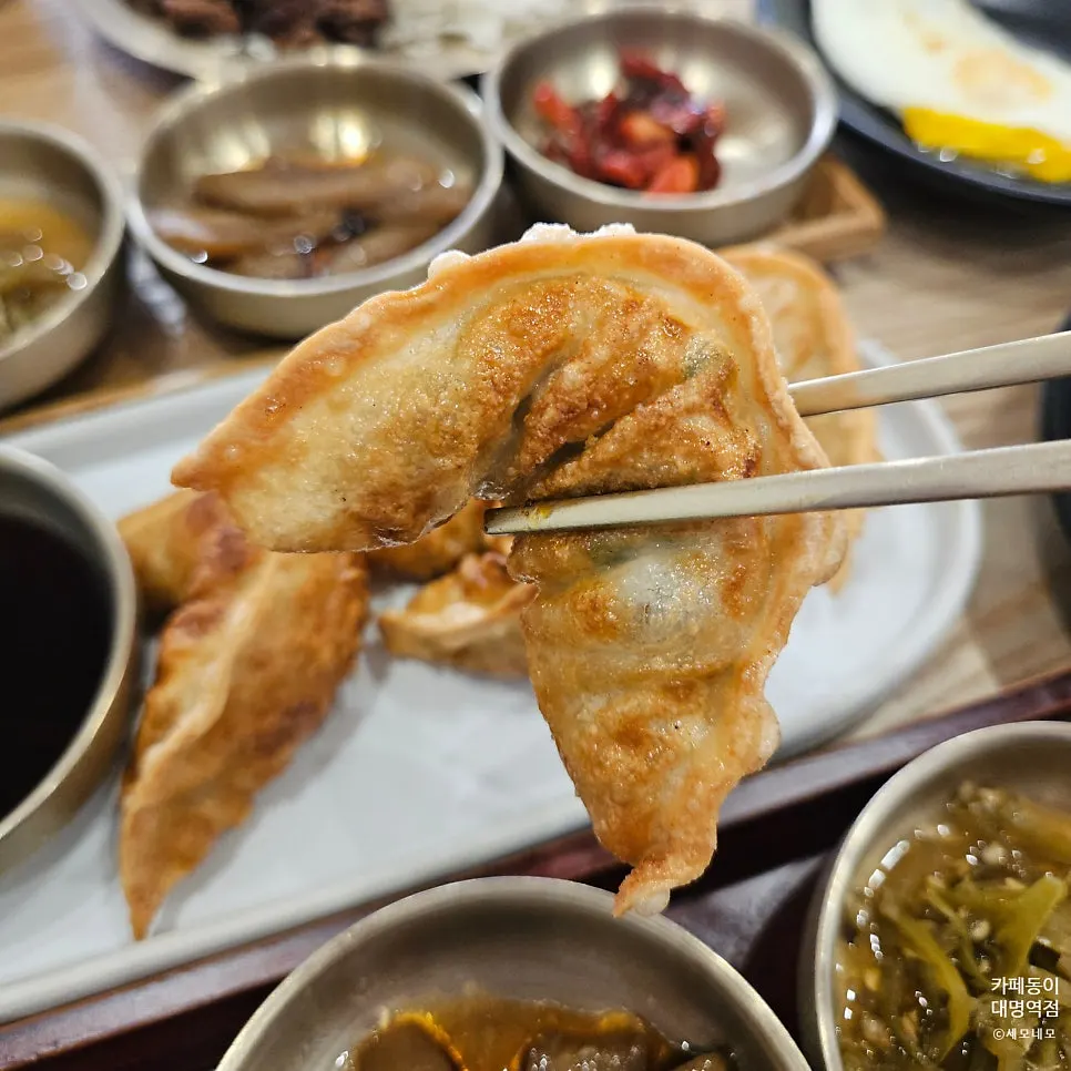 Fried mandu packed with juicy filling