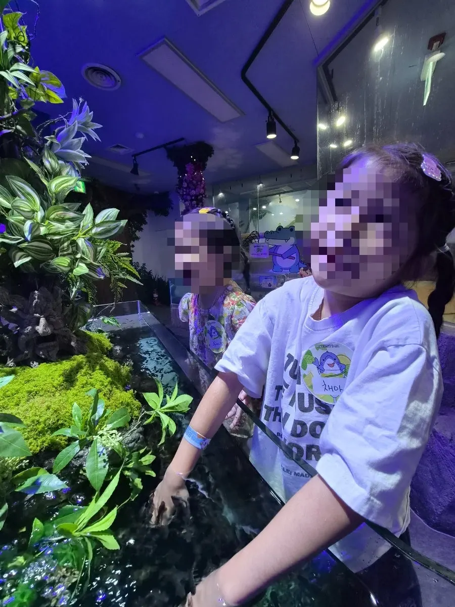 A hand placed inside the doctor fish tank