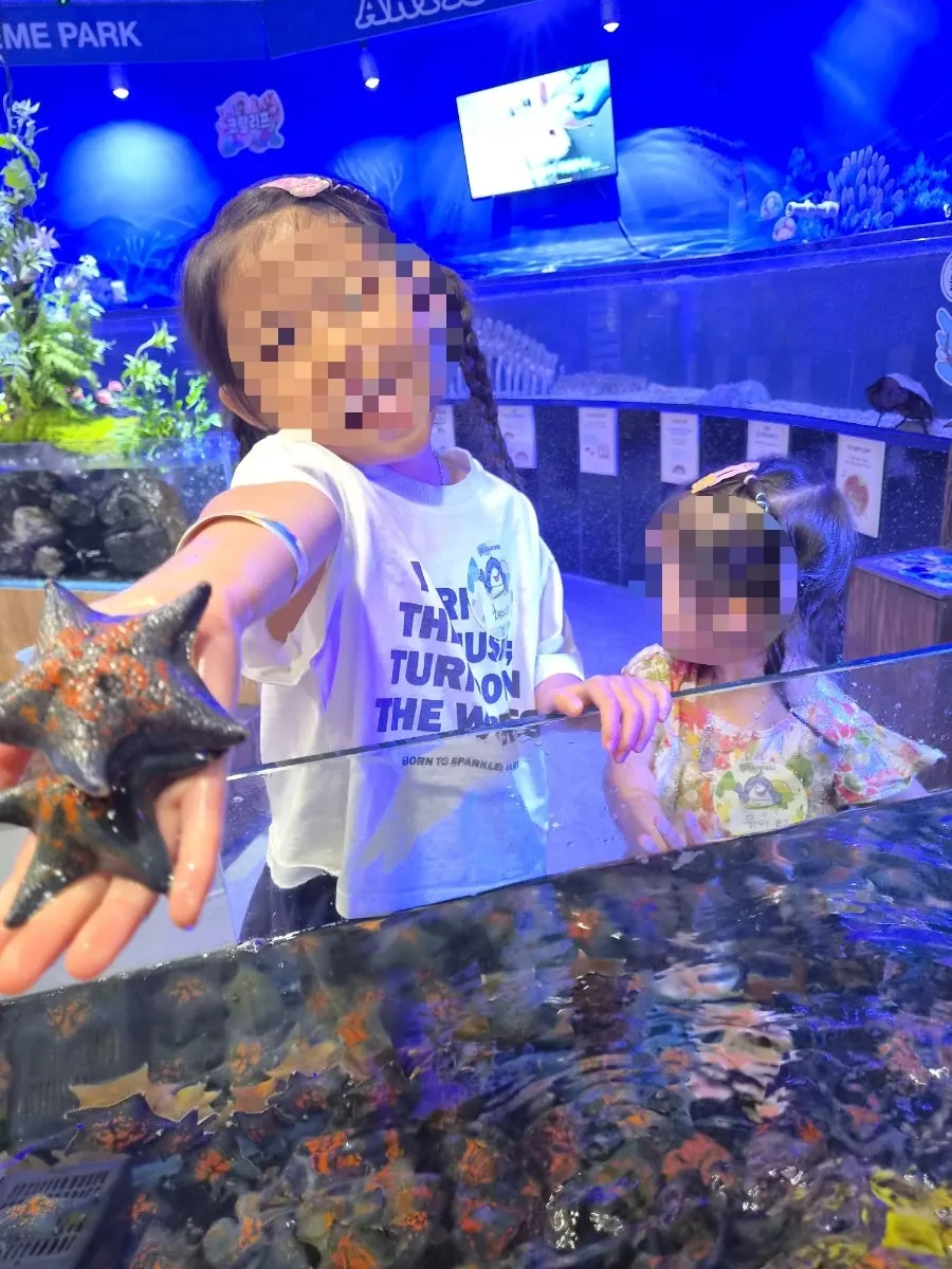 Touching a starfish at the touch pool