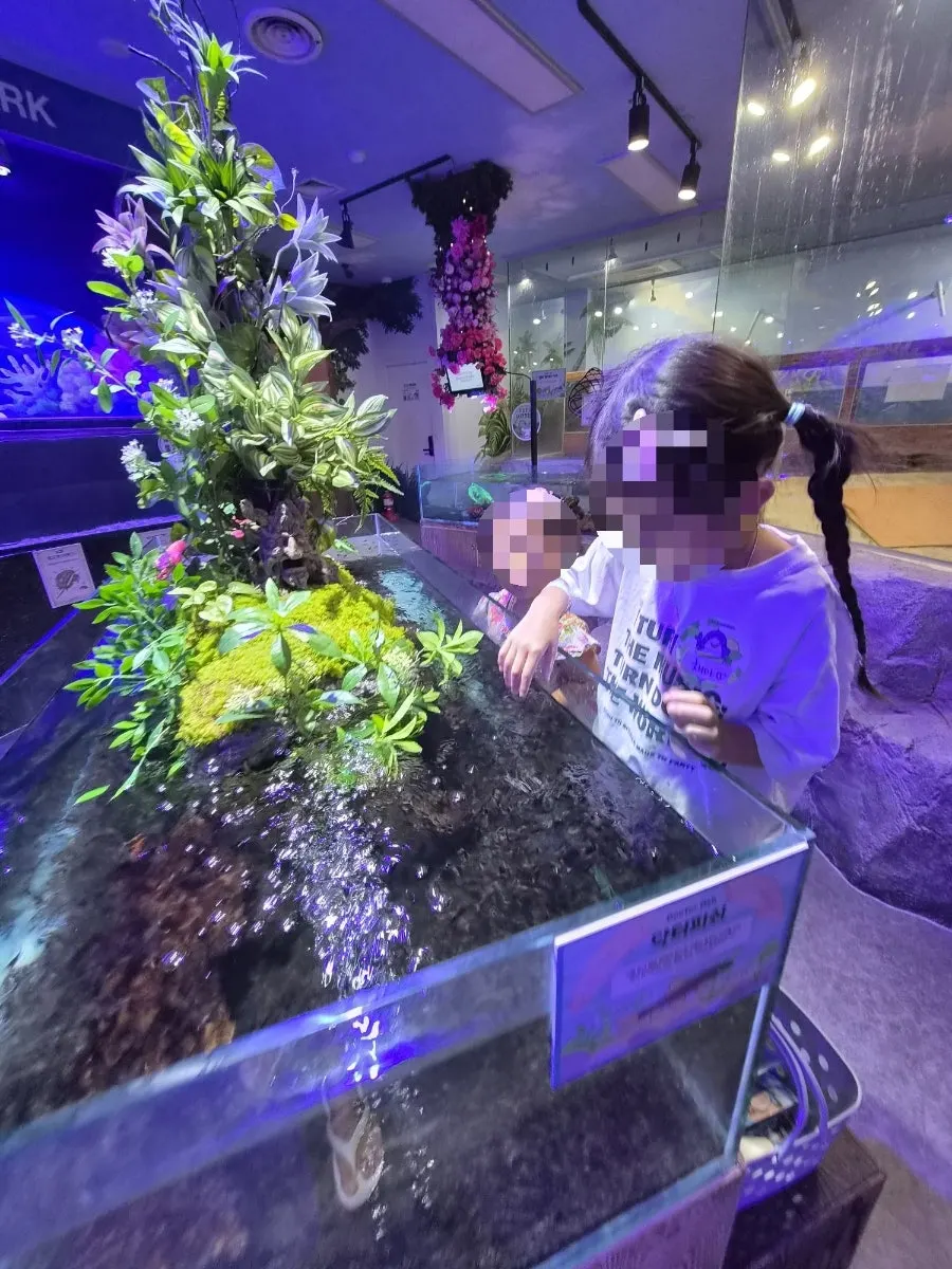 A child observing marine creatures at the touch pool