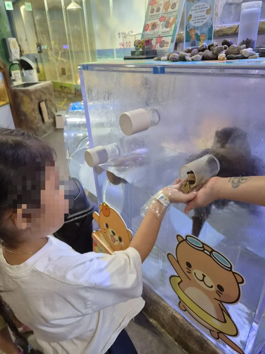 Doing the otter feeding experience