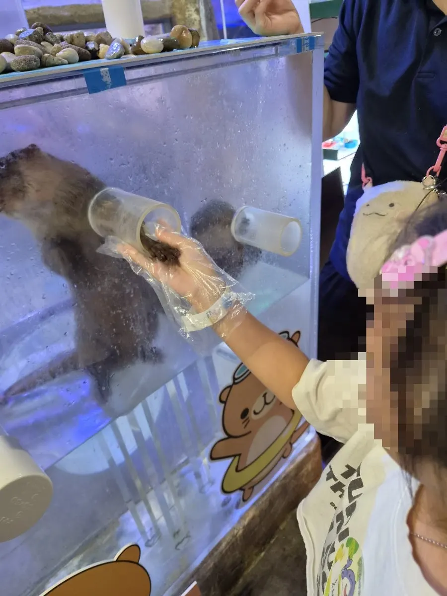 An otter coming up close