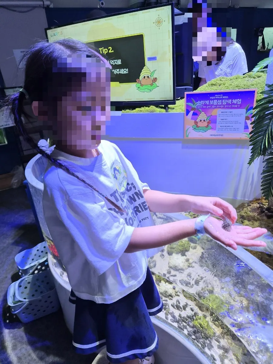Crayfish and hermit crab experience corner