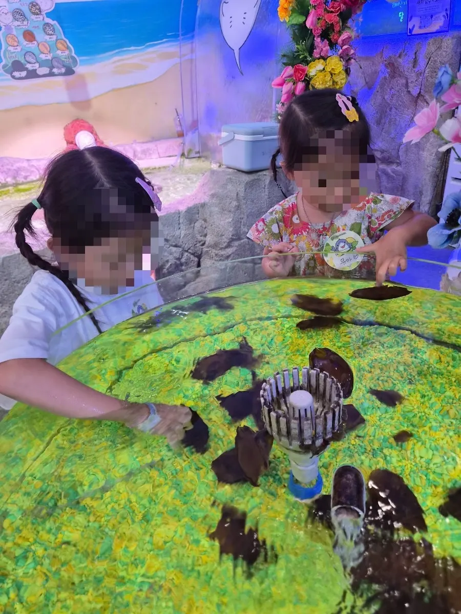 A child looking into the stingray tank