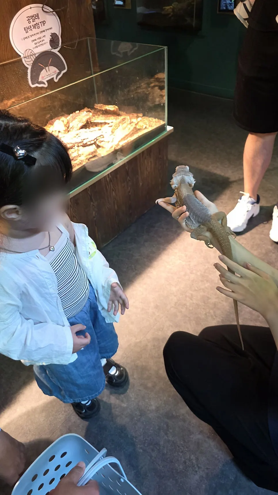 Carrying the feeding basket to the first experience zone