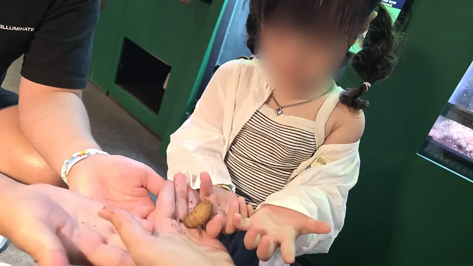 Hands-on encounter touching a caterpillar directly