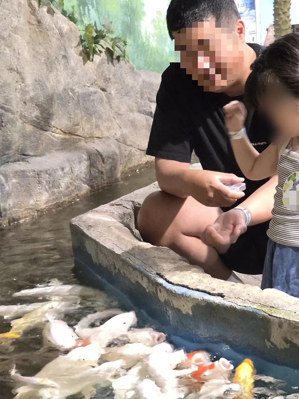 My daughter feeding the fish
