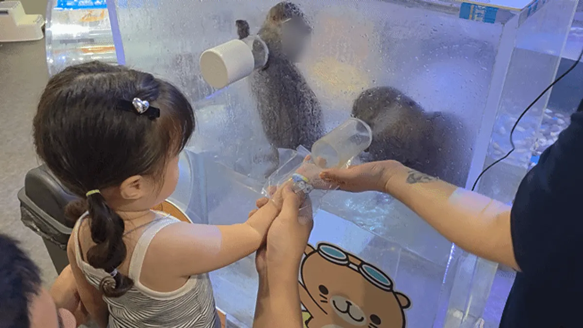 Otter feeding experience at Artis Theme Park
