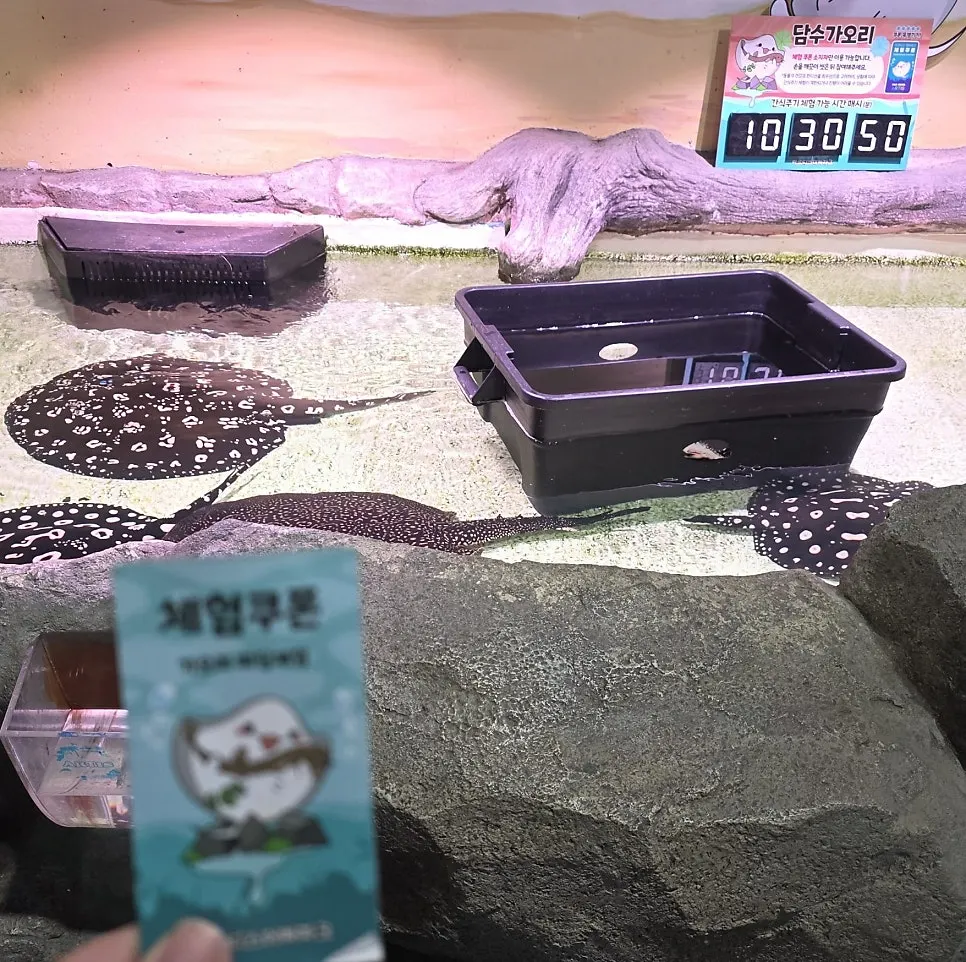 An otter handing over a stone as my daughter feeds it