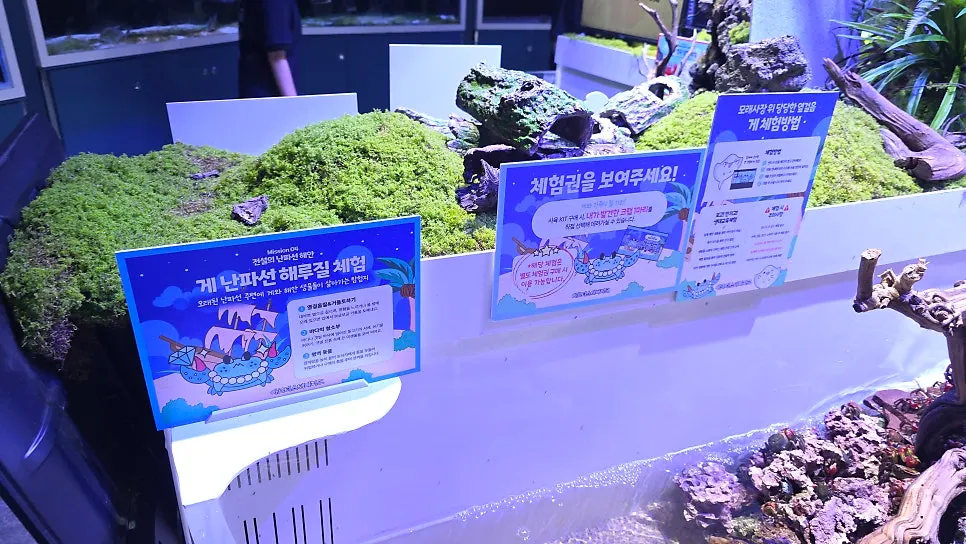 The final zone with crabs and crayfish