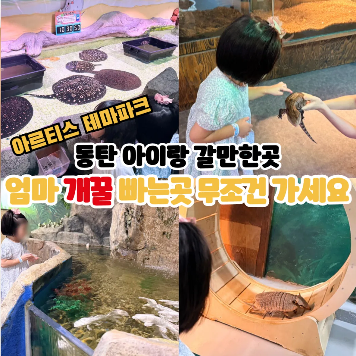 Main photo from a visit to Artis Theme Park aquarium in Dongtan