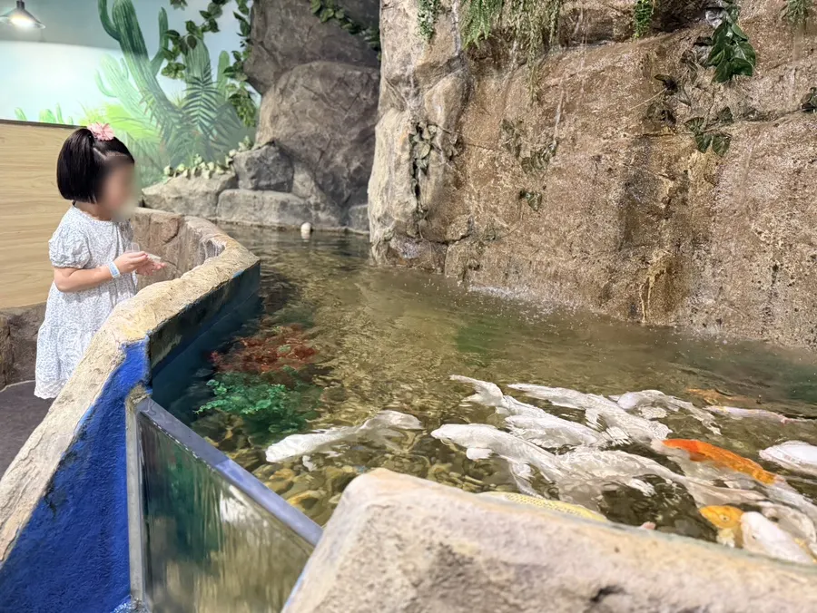 Tank viewing area at Artis Theme Park